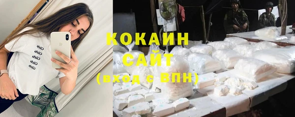 дмт Ладушкин