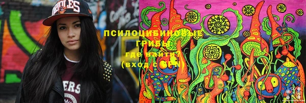 apvp Лабытнанги