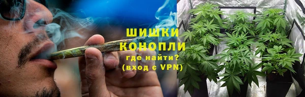 дмт Ладушкин