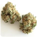 Шишки "White Widow"  (Белая вдова)  Гидропоника -  Бошка VHQ в Суоярви